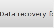 Data recovery for Fort Worth data